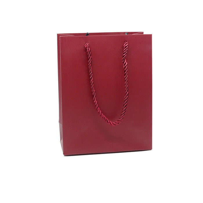 Monotone Simplistic Shopping Bag (10 pcs Per Pack) - Jewelry Packaging Mall